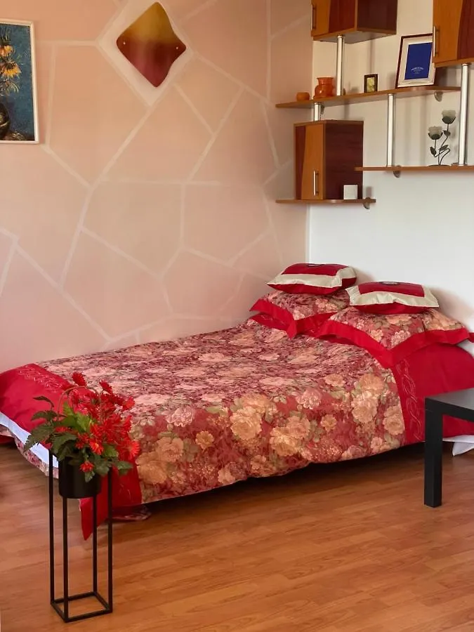 Charming Quiet Studio Coltea Old Town In The Centre Of 布加勒斯特